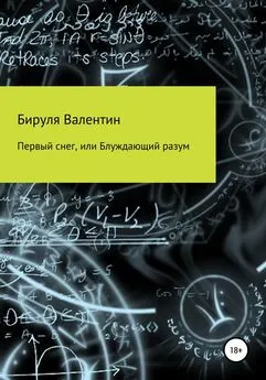 Бируля Валентин - Первый снег, или Блуждающий разум