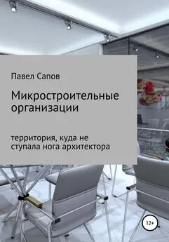 Павел Сапов - Микростроительные организации