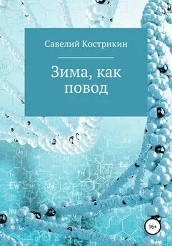 Савелий Кострикин - Зима, как повод