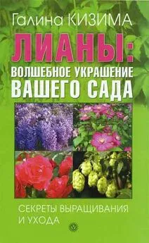 Галина Кизима - Лианы: волшебное украшение вашего сада. Секреты выращивания и ухода