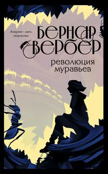 Бернар Вербер - Революция муравьев