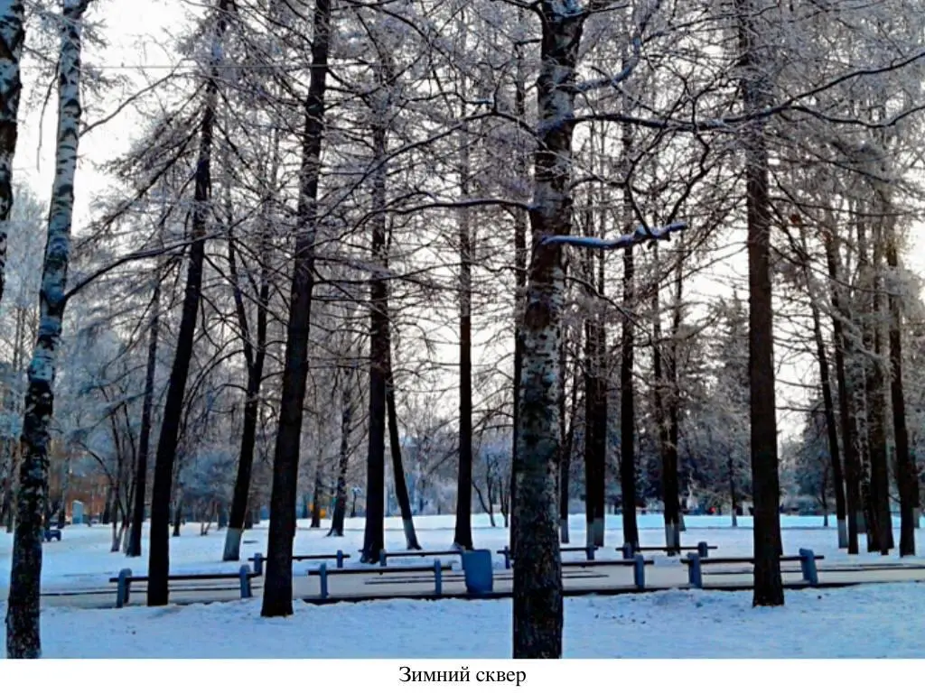 Климат Ижевска умеренно континентальный Зимы часто морозные столбик - фото 5