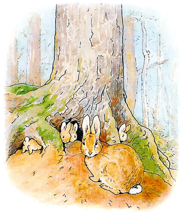 Жилибыли на свете четыре крольчонка и звали их так Флопси Мопси Ватный - фото 2