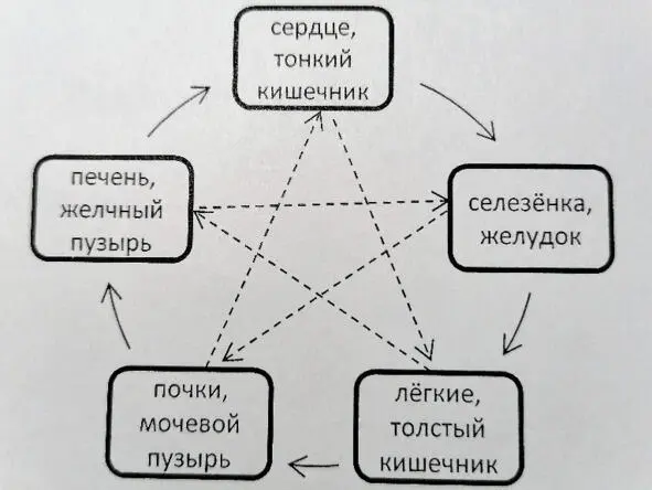 На схеме показаны влияния физических органов общие для большинства людей - фото 1