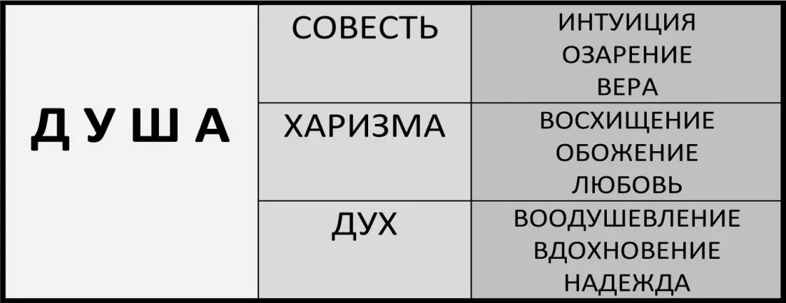 Душа располагая совестью действует на ум чувством вины на сердце - фото 2