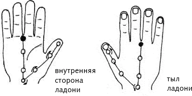 Рис 3 б в Бельчакры ладони Между прочим растирание линий бельмеридианов - фото 11