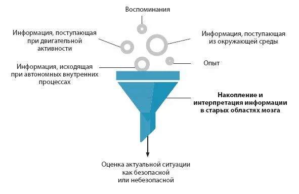 Вся поступающая информация оценивается и перепроверяется на потенциальную - фото 3