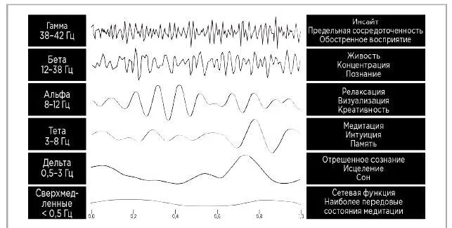 Свойства мозговых волн Куниос и Биман авторы книги Момент эврики - фото 8