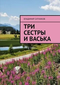 Владимир Ситников - Три сестры и Васька