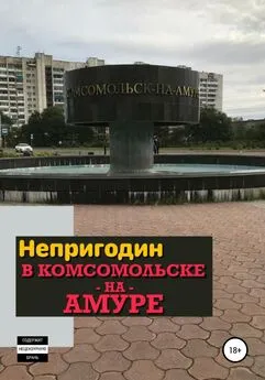 Павел Ежов - Непригодин в Комсомольске-на-Амуре