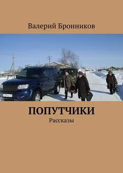 Валерий Бронников - Попутчики. Рассказы