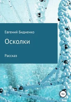 Евгений Бидненко - Осколки