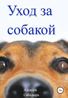 Алексей Сабадырь - Уход за собакой