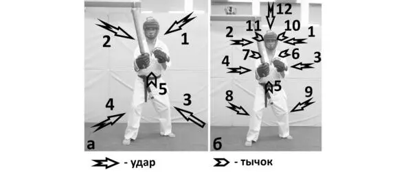 Схемы нанесения ударов по 5 углам а и по 12 углам б V Дистанции 1 - фото 13