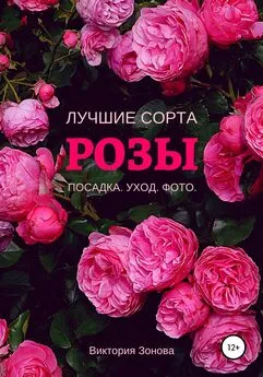 Виктория Зонова - Розы. Лучшие сорта