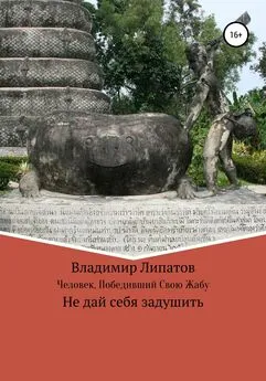 Владимир Липатов - Человек, Победивший Свою Жабу