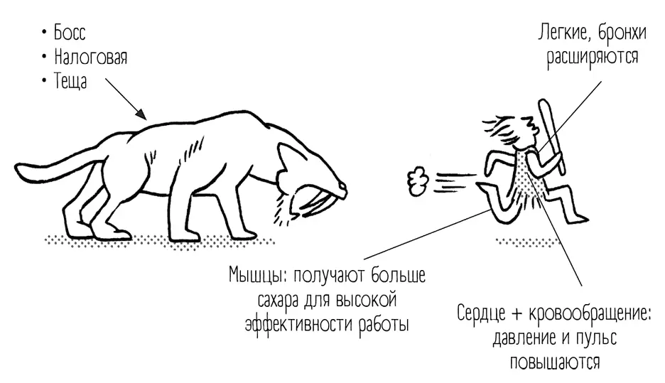 Наш обмен веществ иногда испытывает стресс еще с каменного века К такому за - фото 16