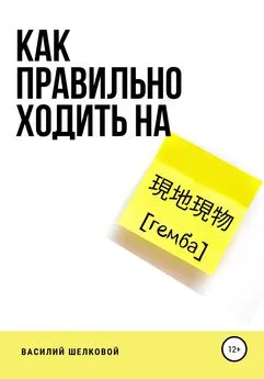 Василий Шелковой - Как правильно ходить на гемба