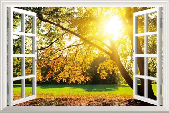 В ОТРАЖЕНИИ ОКНА В зеркальном отражении окна Целуется лучик солнца С веткой - фото 29