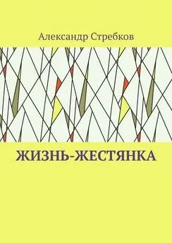 Александр Стребков - Жизнь-жестянка