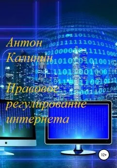 Антон Калинин - Правовое регулирование интернета