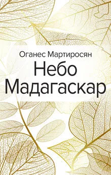 Оганес Мартиросян - Небо Мадагаскар