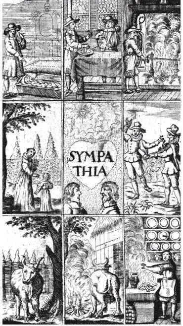 Иллюстрация на обложке книги о симпатическом порошке мистической мази - фото 4