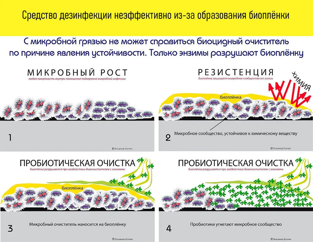 Иллюстрация является художественно работой автора книги Правило 3 Микробную - фото 20