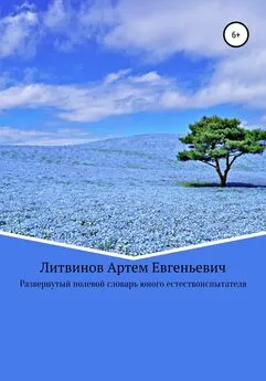Артем Литвинов - Развернутый полевой словарь юного естествоиспытателя