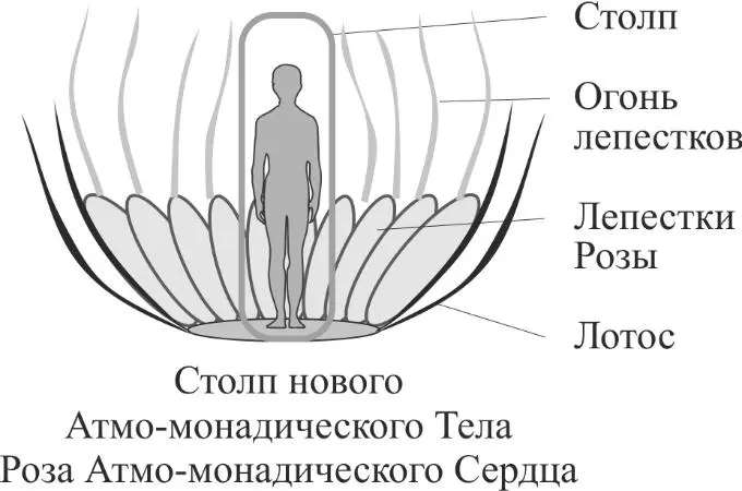 В Лотосе развёртывается то что называется Роза Прямо вот в чашечке Лотоса - фото 17