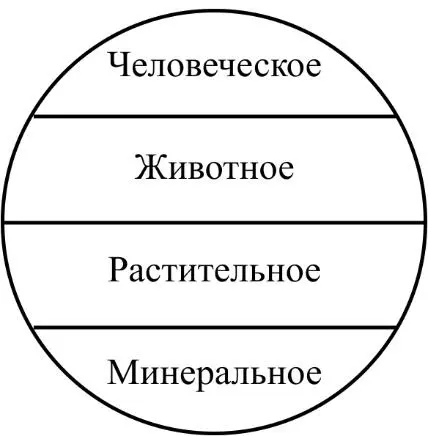 В синтезе все вот эти 4 Царства образуют ту энергетику ауры которой мы с вами - фото 26