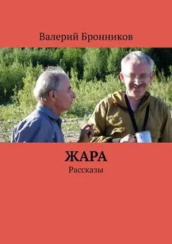 Валерий Бронников - Жара. Рассказы