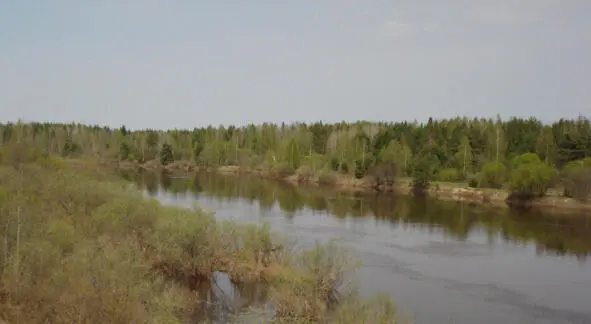 р Нея Остатки села 2005 год Смерч идет 2009 г - фото 15