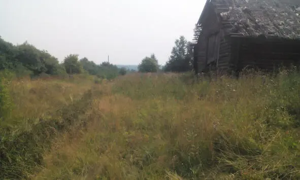 Остатки села 2005 год Смерч идет 2009 г В заброш - фото 16