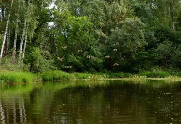 Река Судница 2010 г Медведь идёт на север Маленькая повесть Давно это - фото 21