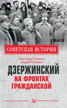 Андрей Плеханов - Дзержинский на фронтах Гражданской