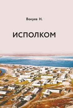 Николай Вокуев - Исполком