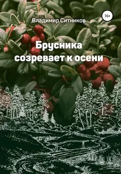 Владимир Ситников - Брусника созревает к осени