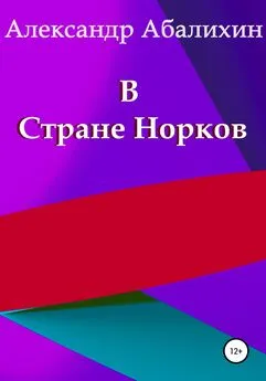 Александр Абалихин - В Стране Норков