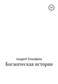 Андрей Тимофеев - Космическая история