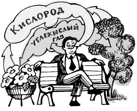 Интенсивное жиросжигание с помощью избытка кислорода Изза недостаточного - фото 6