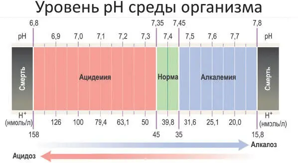 У большинства людей кислотнощелочной баланс сдвинут в кислую сторону - фото 3