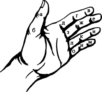 Суставы пальцев левой руки рис 2 а б суставы большого пальца в г д - фото 2