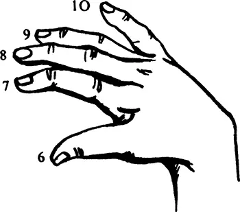Пальцы правой руки рис З Палец 6 большой палец Палец 7 - фото 3