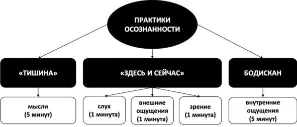 Рис 9 Изначальная длительность выполнения практик осознанности Комплексная - фото 11