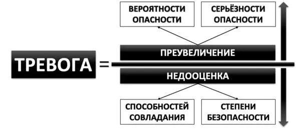 Рис 13 Полная формула тревоги Элементы антитревожного мышления Тревога - фото 15