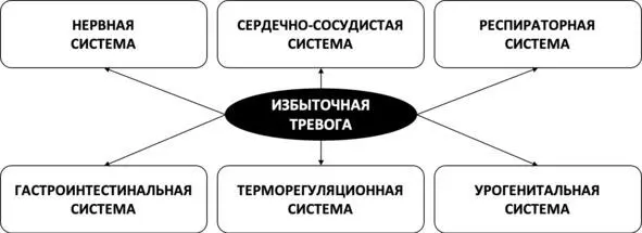 Рис 15 Многогранность телесных проявлений тревоги Телесные симптомы - фото 17