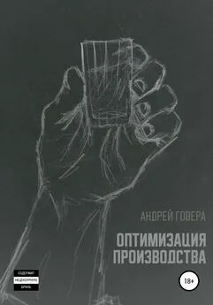 Андрей Говера - Оптимизация производства