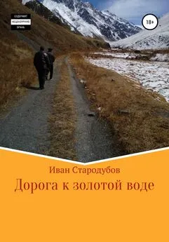 Иван Стародубов - Дорога к золотой воде