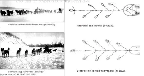 Схема типов собачьих упряжек приведённая А П Самар в его научной работе - фото 39